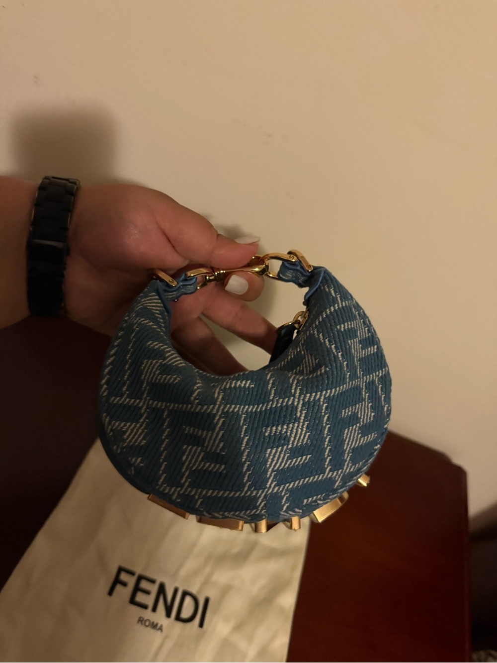 FENDI Nano Fendigraphy